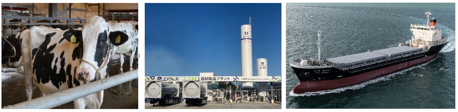 Cattle manure derived LBM is used as marine fuel