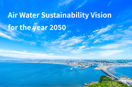 Sustainable Vision >