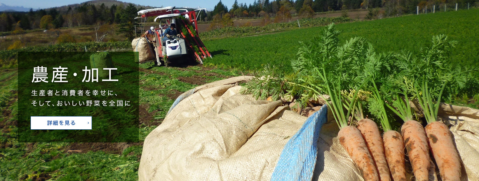 農産・加工 生産者と消費者を幸せに、そして、おいしい野菜を全国に