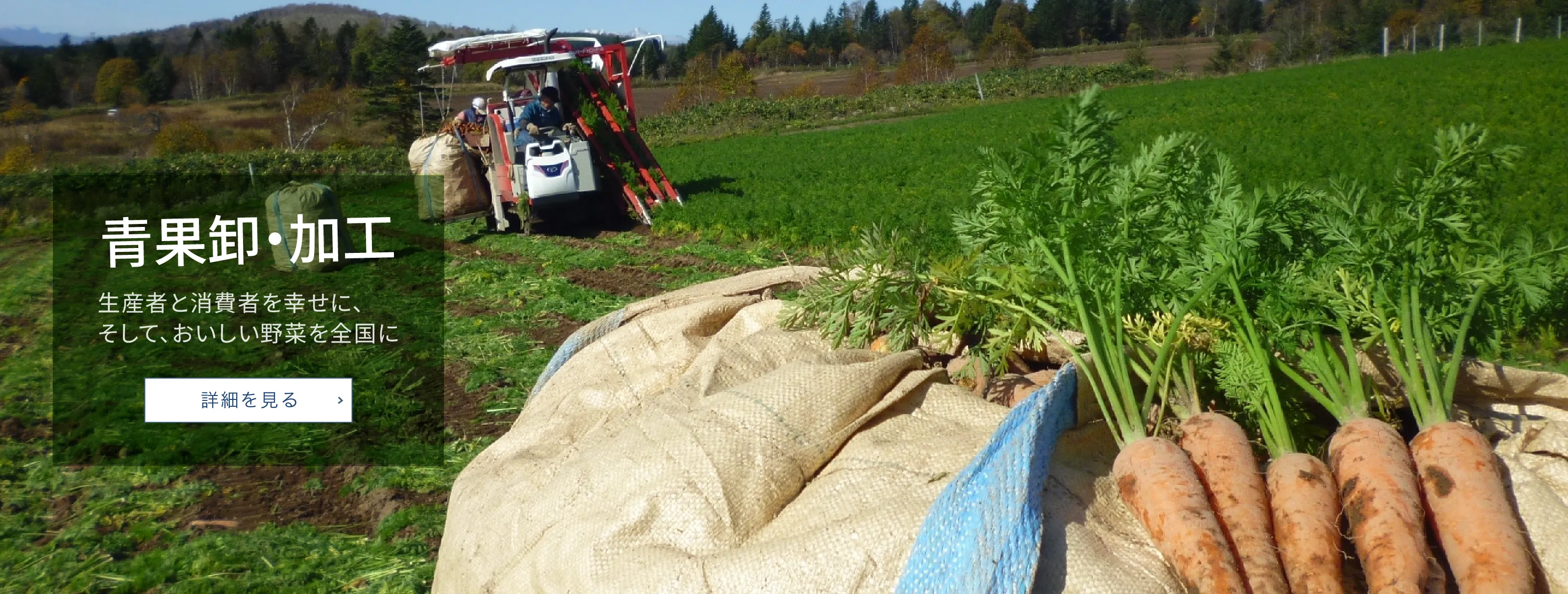 農産・加工 生産者と消費者を幸せに、そして、おいしい野菜を全国に