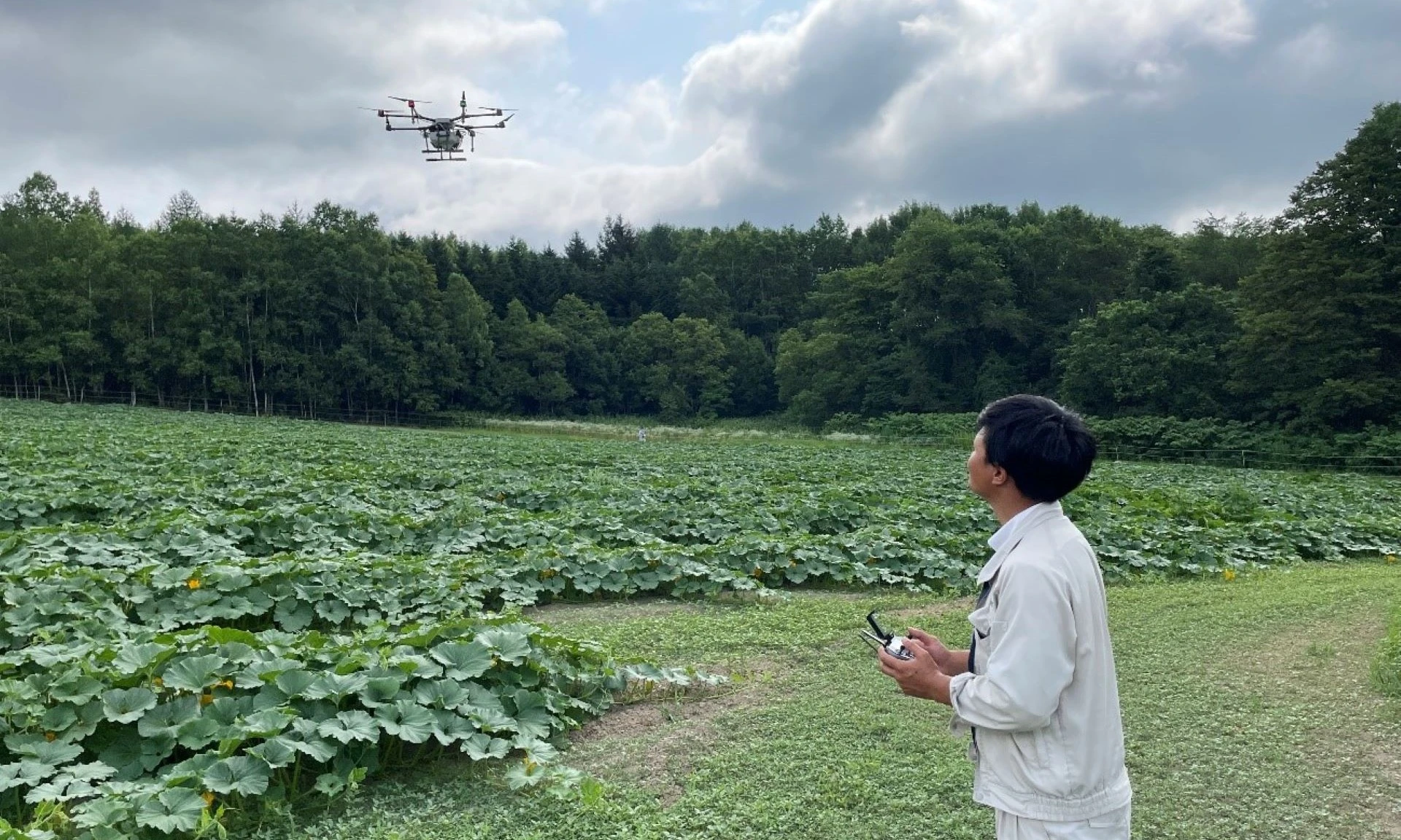 ブロッコリー栽培にドローンを活用！北海道で開発したスマート農業をエクアドルで実証